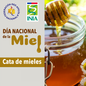 Día de la Miel en Chile