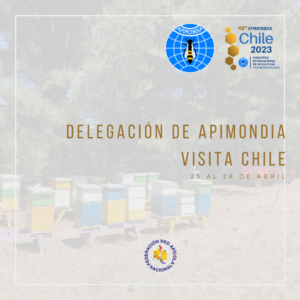 Comisión de Apimondia visita Chile